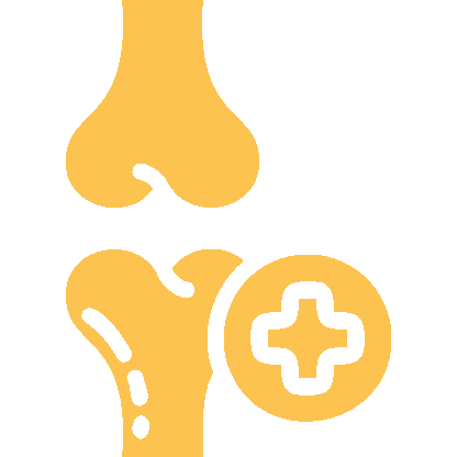 Ossos & Articulações